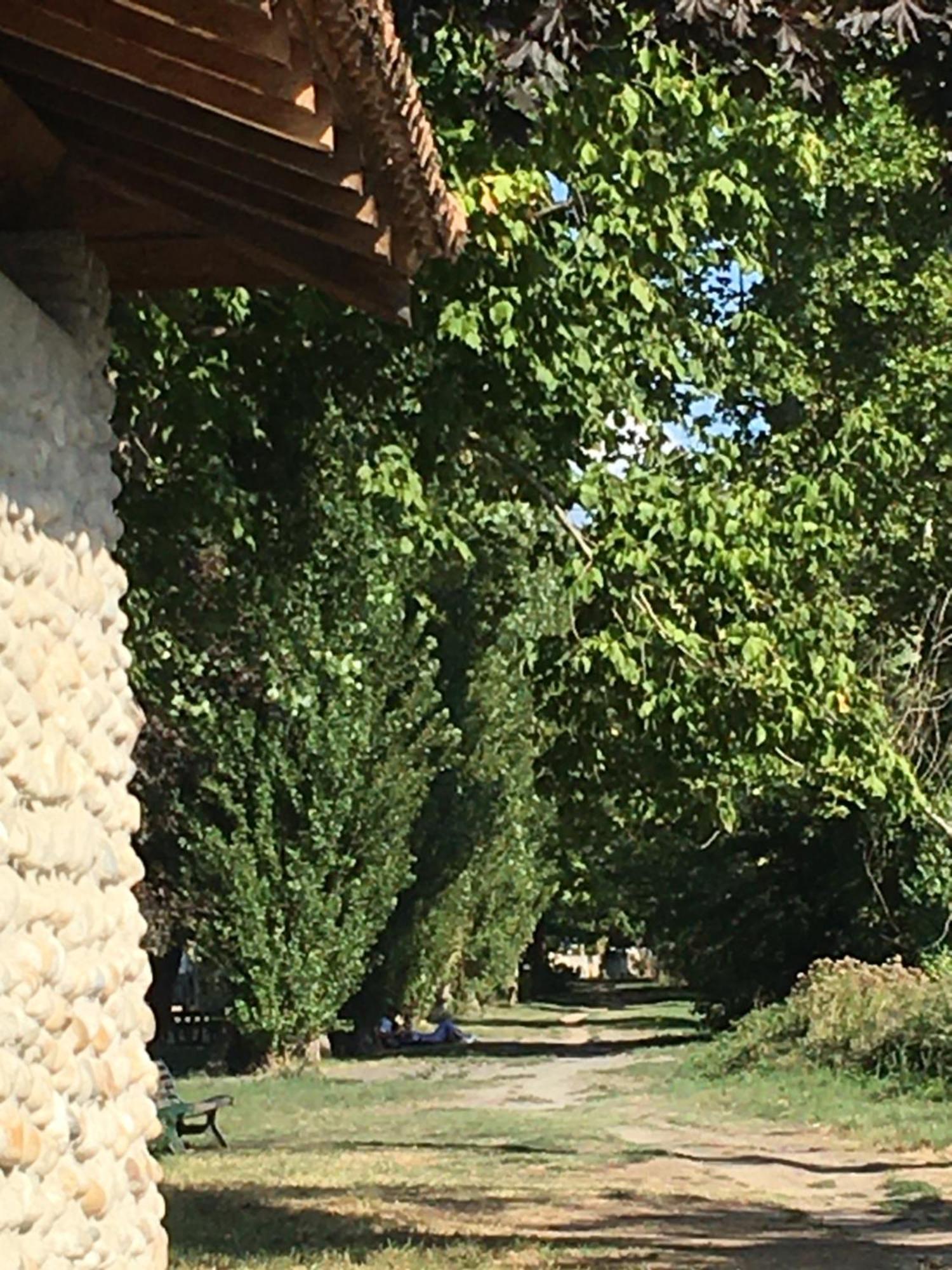 La Villa de Lise Romans-sur-Isère Extérieur photo